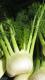 How To Cook With Fennel Leaves