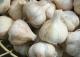 9.5 Tons Of Garlic Stolen, Recovered!