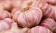 Garlic Necessary For A Healthy Heart