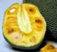 How to eat Jackfruit