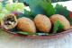 How To Eat Kibbeh 