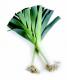 How To Chop Leeks