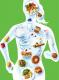 Nutrition Basics For Bodybuilding  -  The A, B, C Of Nutrition  