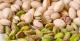 Say hello to Pistachios: your new weight-loss experts!!