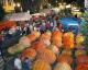 Barnesville Pumpkin Festival - Pumpkins Galore 