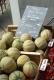 How To Protect Ripe Melons From Animals?