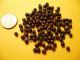 Herbal Remedies For Snoring 