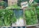 How To Store Green Vegetables