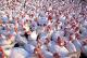 Top 10 Sustainable Turkey Varieties
