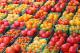 Organic Tomatoes More Nutritious, Says Brazilian Study