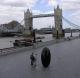 Peta Names London 