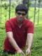 Guddu