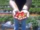 frutilady profile page