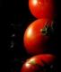 Top 5 Food Shows On Television