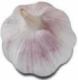 Hcgarlic