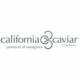 CaliforniaCaviarCompany
