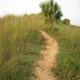 Chris Rosecrans profile page