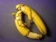 Food Art- Creative Instincts