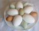 How to check an egg is fresh?- without breaking it open