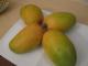 The Surprise Mango Party