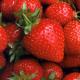 Top 3 tips on How to freeze Strawberries