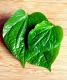 Valentine Aphrodisiac Dessert - Paan