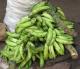 Kerala – The Yummy Banana Chips