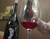 A Brief Guide On Wine Making In Paso Robles
