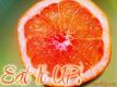 Fat Burning Snacks!