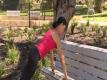 Outdoor Workout :) Toneitup Tuesday! Park Workout