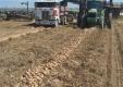 Harvesting Idaho Potatoes