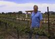 Growing Vine Review