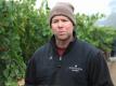2012 Alexander Valley Grape Harvest Report From Bret Munselle
