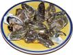 Oysters