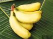 Bananas Nutrition And Using