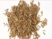 Caraway Seeds