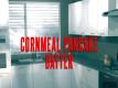 Cornmeal Pancake Batter