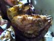 How To Caremalize Onion? Video