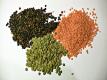Lentils - Hints And Tips