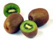 Buying And Storing Kiwifruit