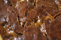 Salted Caramel Brownies
