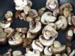 Wegmans 4 Steps to Sautéing Mushrooms