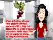 Selecting And Storing Beetroot