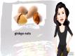 Selecting, Storing and Using Ginkgo Nuts