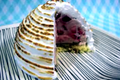 Strawberry Ice Cream and Baked Alaska - The Aubergine Chef