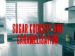 Sugar Cookery And Caramelisation Video