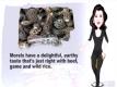 Uses For Dried Morel Mushrooms
