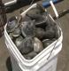 About Clam Digging