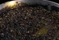 Black Paella : José Andrés