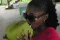 How To Pick Coconuts From Tree Video